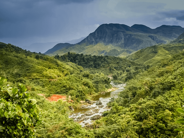 Príroda Madagaskaru